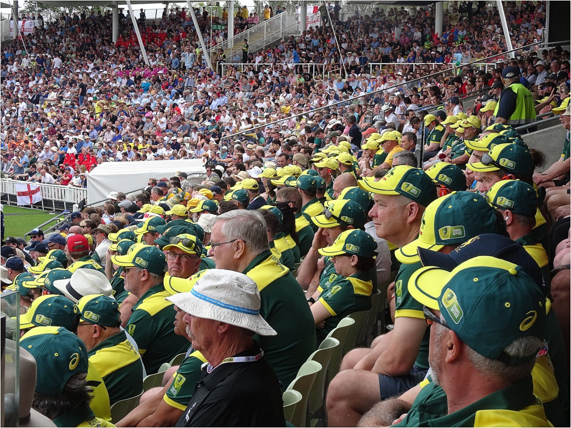 Cricket Carnival: Navigating Big Bash League Betting Excitement on Ladbrokes
